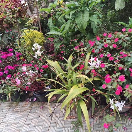 Soly'S Villa Homestay Munnar Extérieur photo