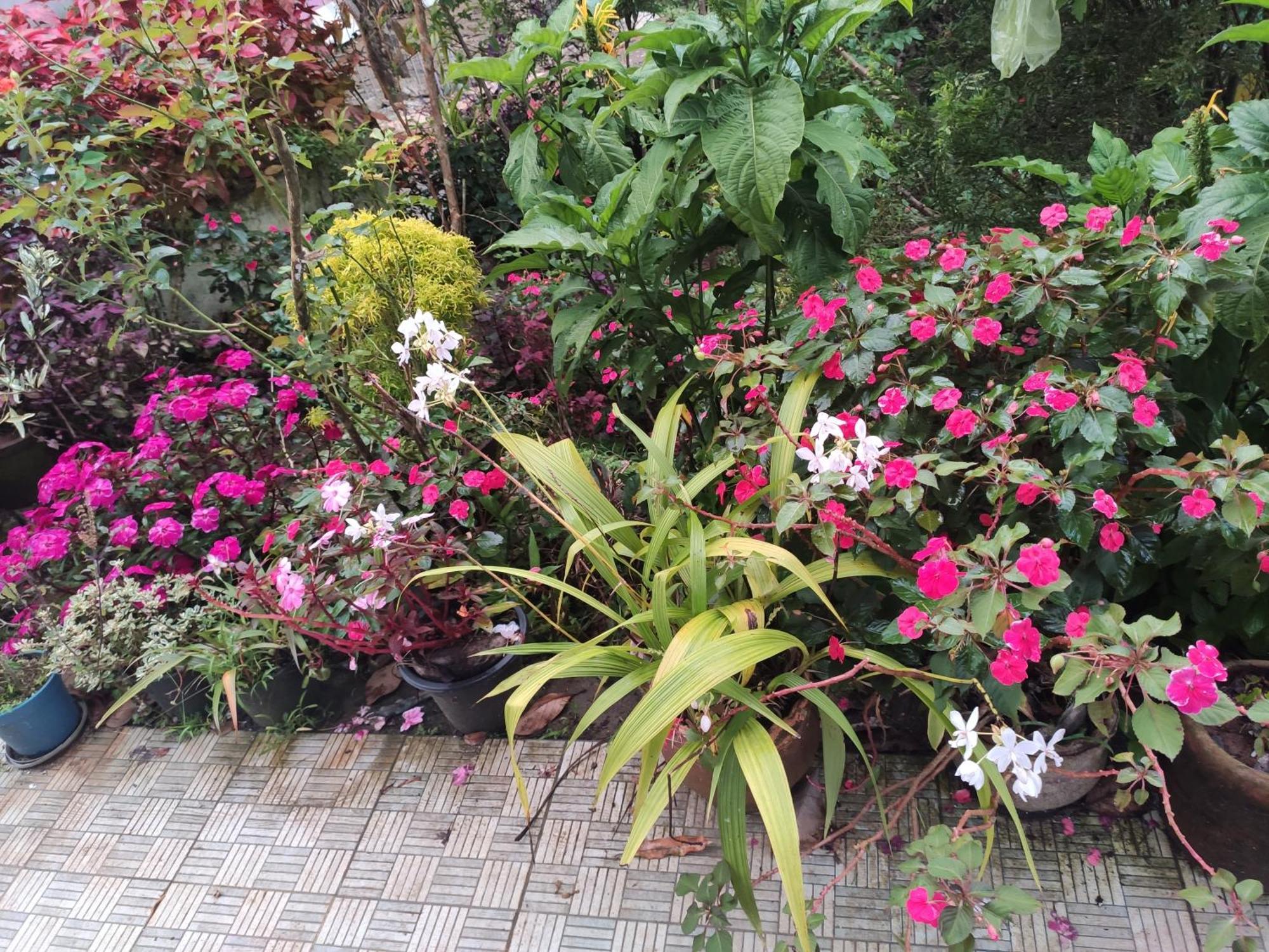 Soly'S Villa Homestay Munnar Extérieur photo