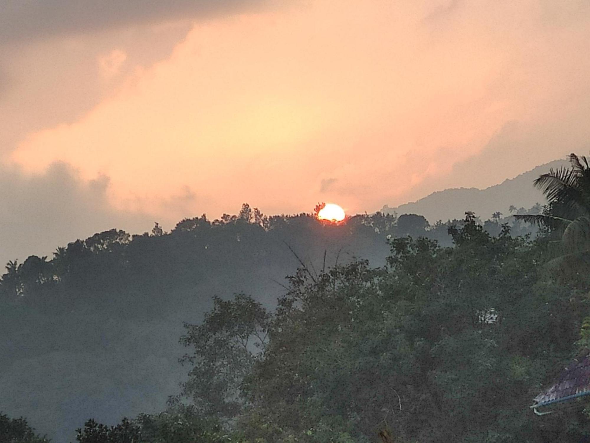 Soly'S Villa Homestay Munnar Extérieur photo